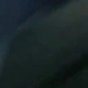 Meet your Posher, Izzy